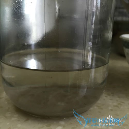 有韧性的胆水豆腐