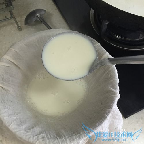 有韧性的胆水豆腐