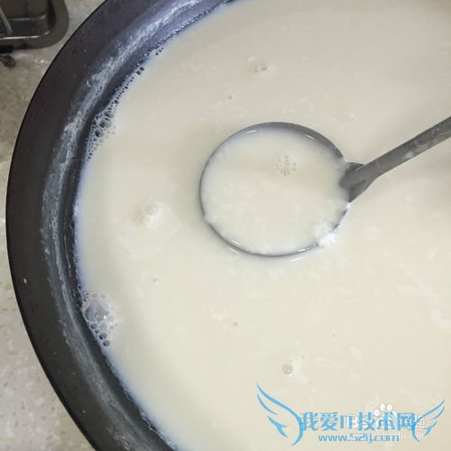 有韧性的胆水豆腐