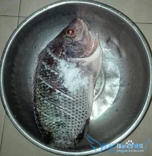 红烧豆腐罗非鱼