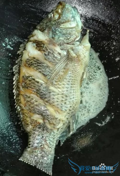 红烧豆腐罗非鱼