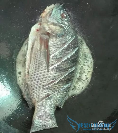 红烧豆腐罗非鱼