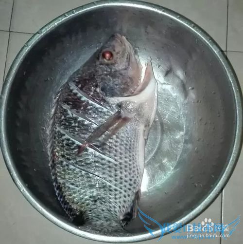 红烧豆腐罗非鱼