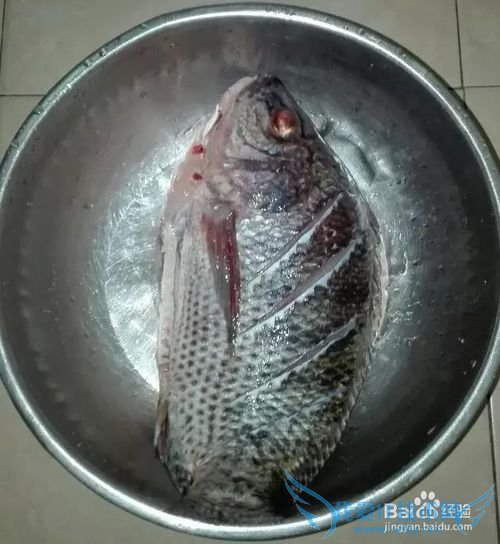 红烧豆腐罗非鱼