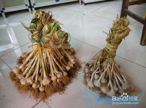 怎样泡糖醋大蒜