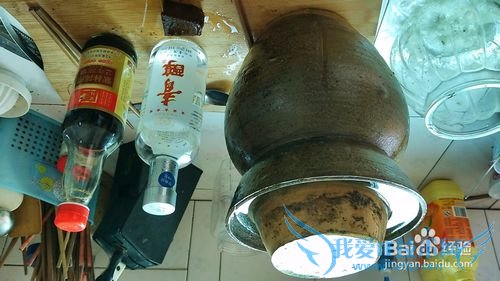 怎样泡糖醋大蒜