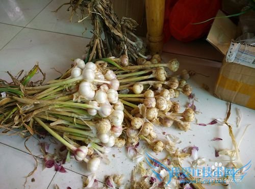 怎样泡糖醋大蒜