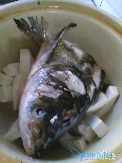 怎样做好吃鲜美的鱼头豆腐汤