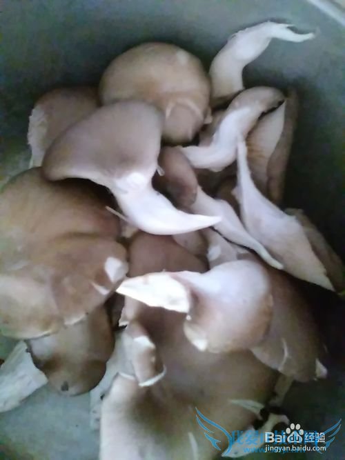 怎样做好吃鲜美的鱼头豆腐汤