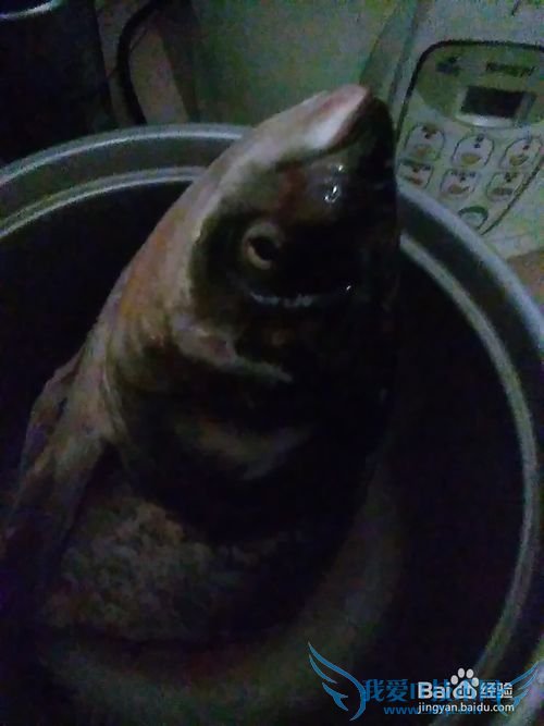 怎样做好吃鲜美的鱼头豆腐汤