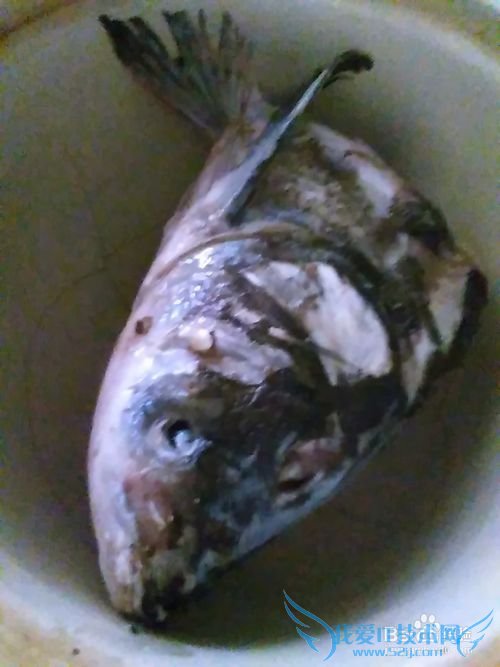 怎样做好吃鲜美的鱼头豆腐汤