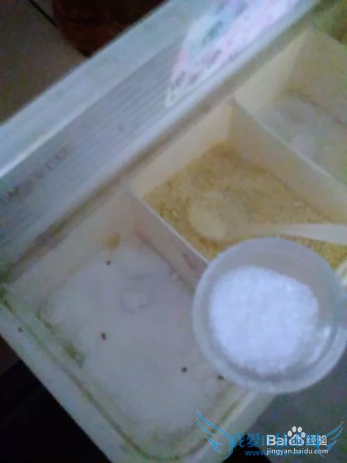 怎样做好吃鲜美的鱼头豆腐汤