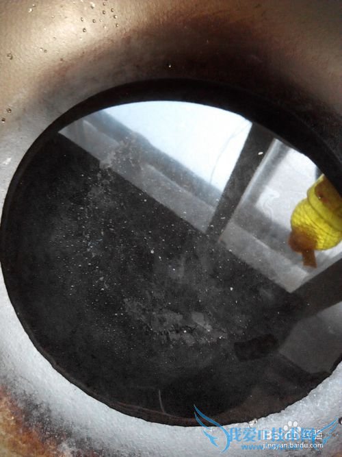 教你做——羊头肉炖豆腐