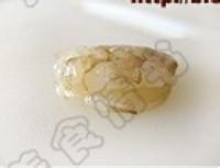 ������������ʶ�������