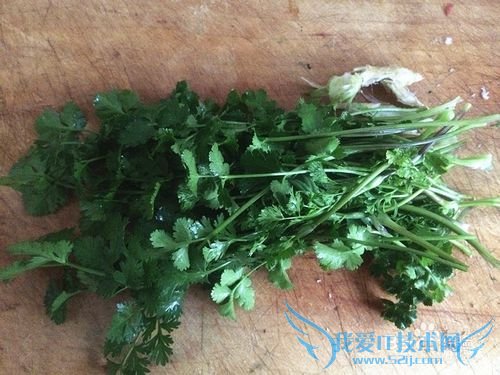 家常豆腐皮炒香菜