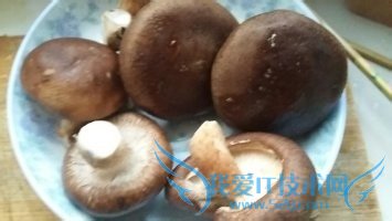 香菇炒肉味道鲜