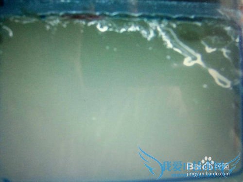 家常皮蛋拌豆腐