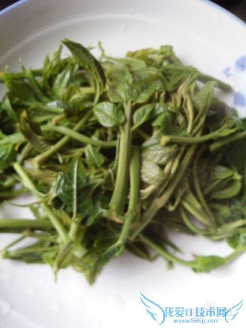 Ï㴻ѿ°è¶¹¸¯×ö·¨