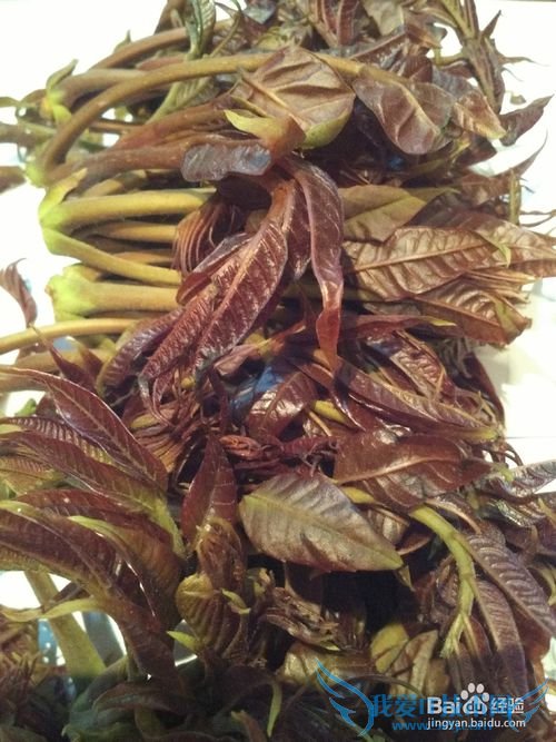 Ï㴻ѿ°è¶¹¸¯×ö·¨