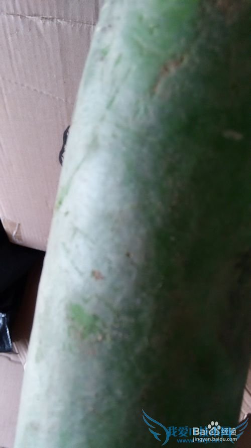 �ܲ�������������