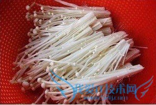 ������빽��ô����