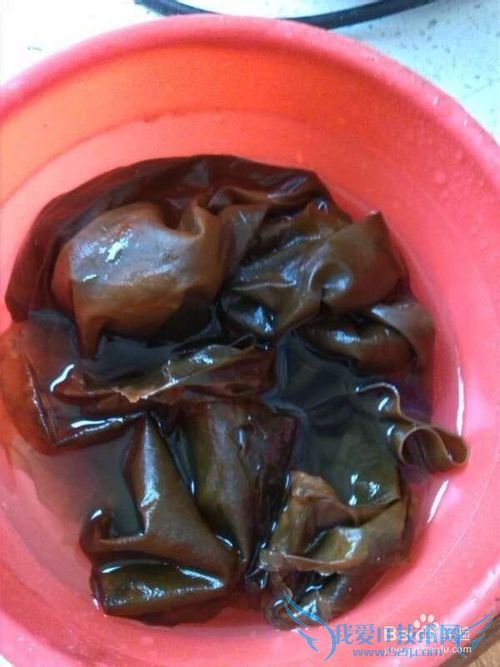 如何做罗非鱼海带豆腐汤?