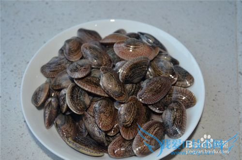 味道鲜美的花甲炒尖椒