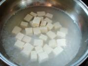 ¡¾´¨²Ë¡¿--ÂéÆÅ¶¹¸¯