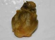 ÔõÑù×ÔÖÆÈâÄ©Õô¶¹¸¯