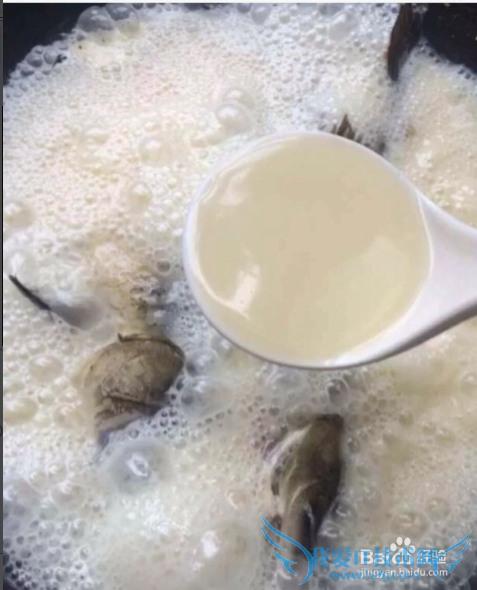 下奶神器---鲫鱼豆腐汤