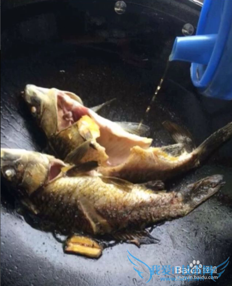 下奶神器---鲫鱼豆腐汤