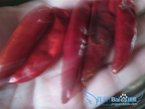 ѩ��ޮ��������