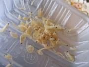 ��Ϻ��������