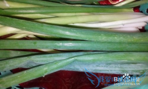 С�а趹��һ�����