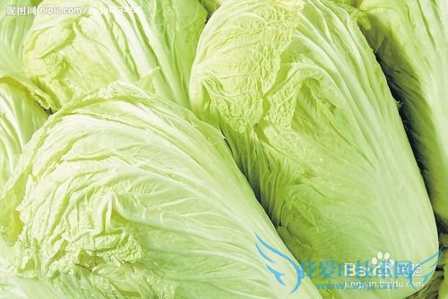如何分辨甲醛白菜
