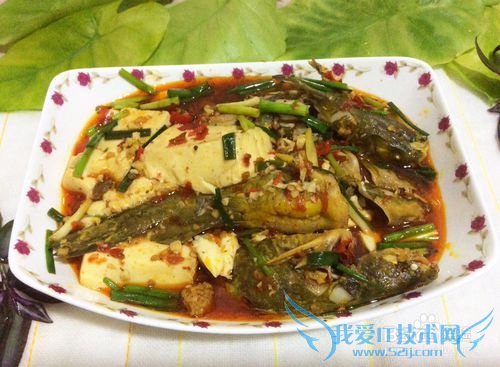 ´¨Î¶»ÆÀ±¶¡ÉÕ¶¹¸¯