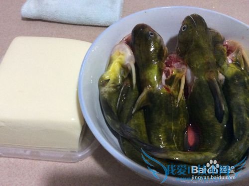 ´¨Î¶»ÆÀ±¶¡ÉÕ¶¹¸¯