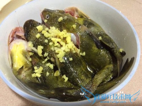 ´¨Î¶»ÆÀ±¶¡ÉÕ¶¹¸¯