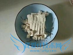 �������Ŷ�����������ѡ��