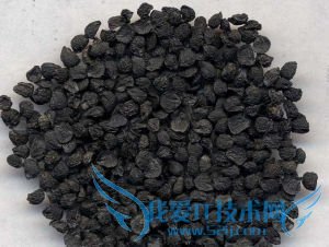 �����ֲ�²�