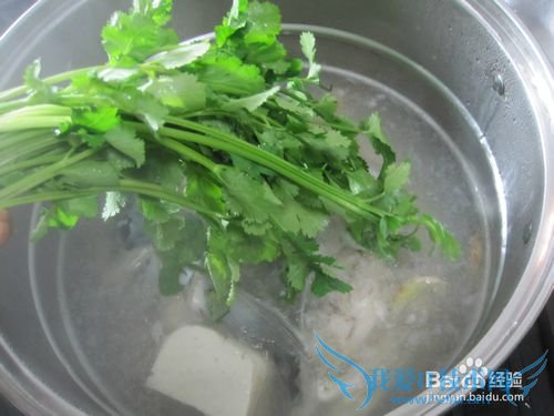 芜茜鱼头豆腐汤