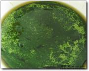 �����̶���������