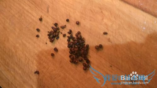 家风味-----麻婆豆腐