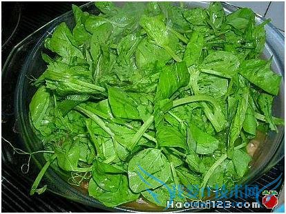 ���������Ŷ�����