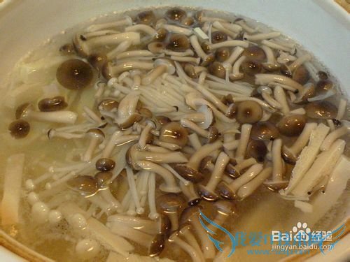 杂菌豆腐粉丝煲
