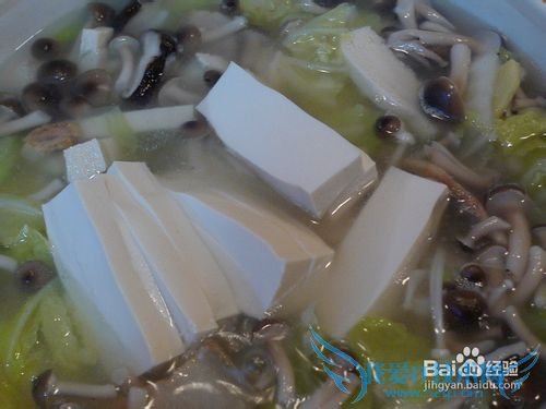 杂菌豆腐粉丝煲