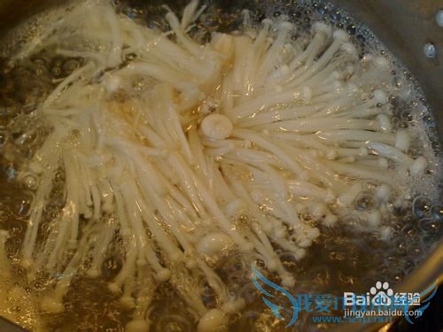 杂菌豆腐粉丝煲