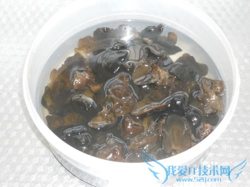 亲手教你做美味的家常豆腐