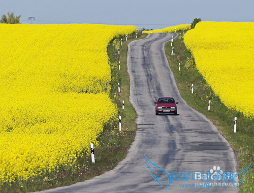 怎么面对生活中的各种压力