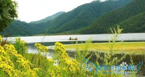 大理云中天池 旅游攻略